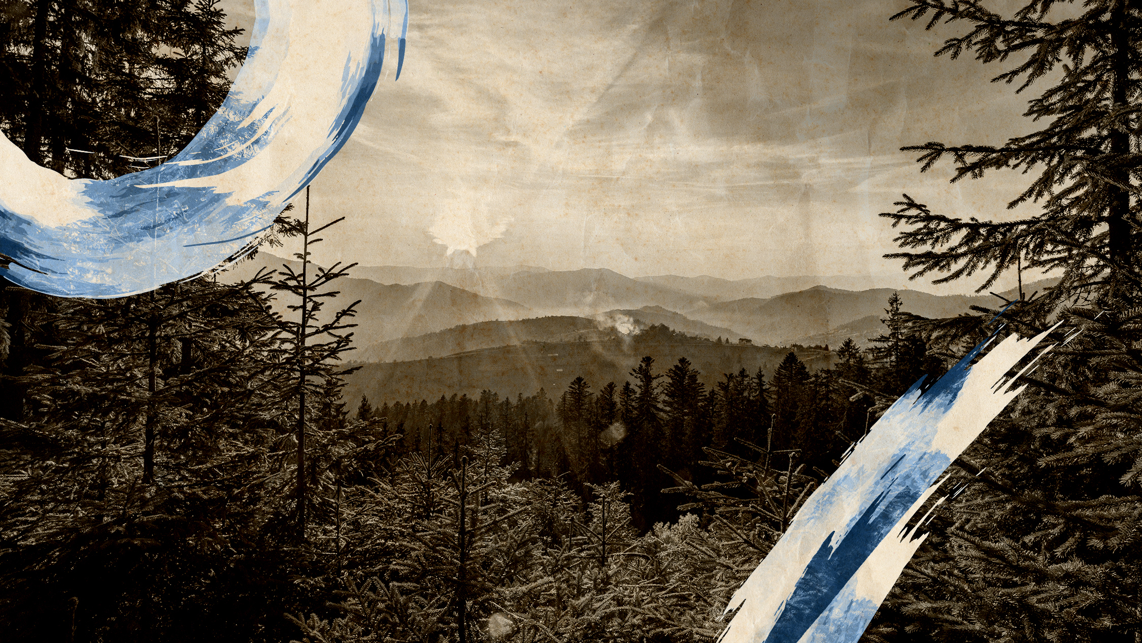 The Power of Mindfulness, Meditation, and Nature